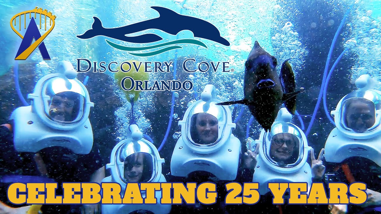Celebrating 25 Years of Discovery Cove