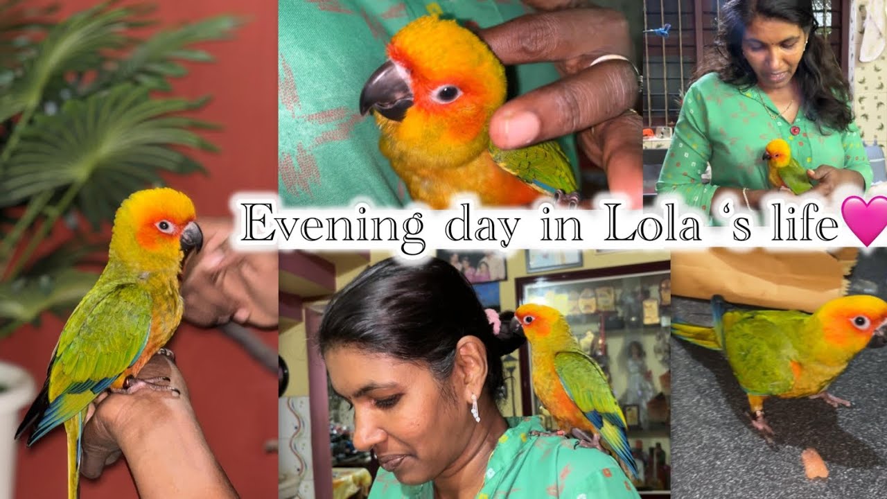 Evening day in Lola's life 🎀😂