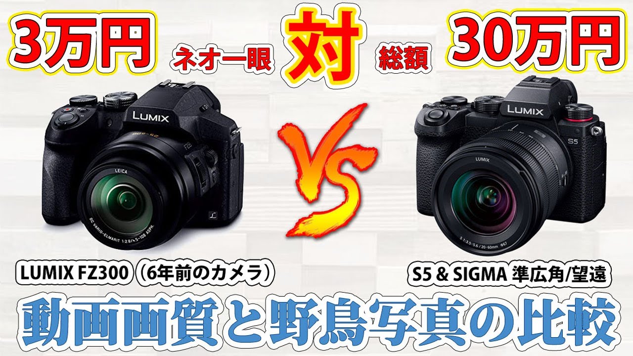 3万円 対 30万円 ! 値段が10倍（以上）違うカメラの動画画質/野鳥写真を比べてみた !