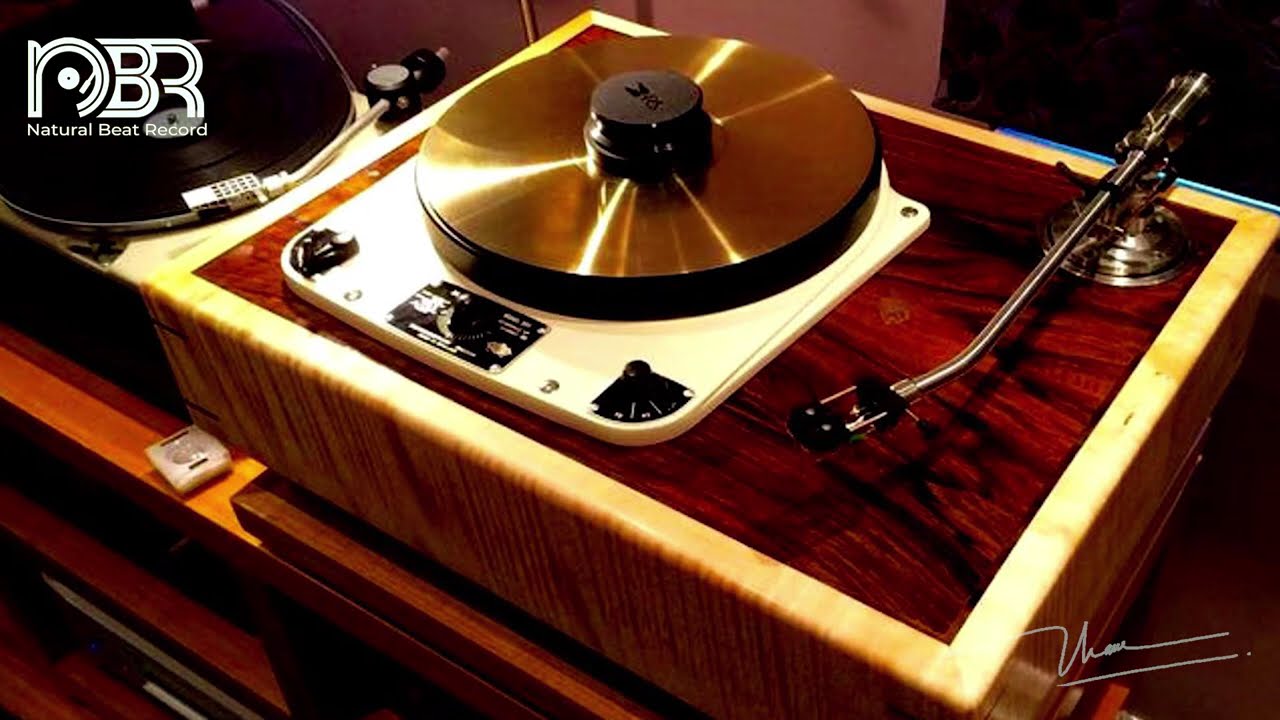 Super Audio Sampler CD &mdash; демонстрационный аудиотест высокого класса &mdash; Natural Beat Record