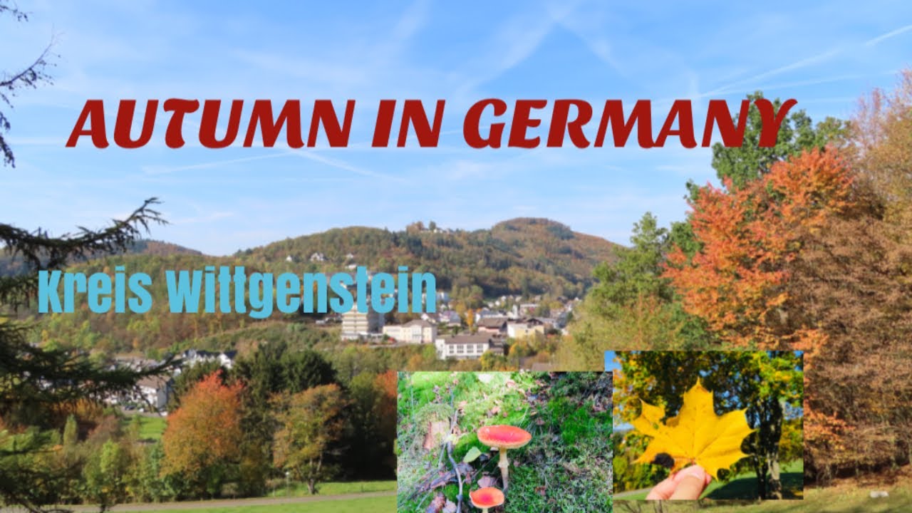 THE AUTUMN SCENERY  IN BAD LAASPHE , GERMANY | Oliver Cagas