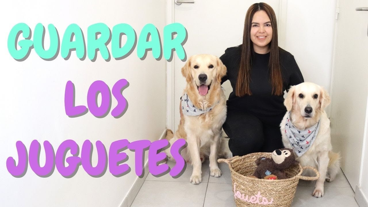 Enséñale a tu perro a GUARDAR LOS JUGUETES