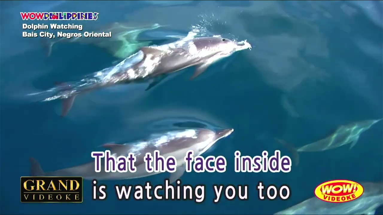 Papercut-Linkin Park(Karaoke)