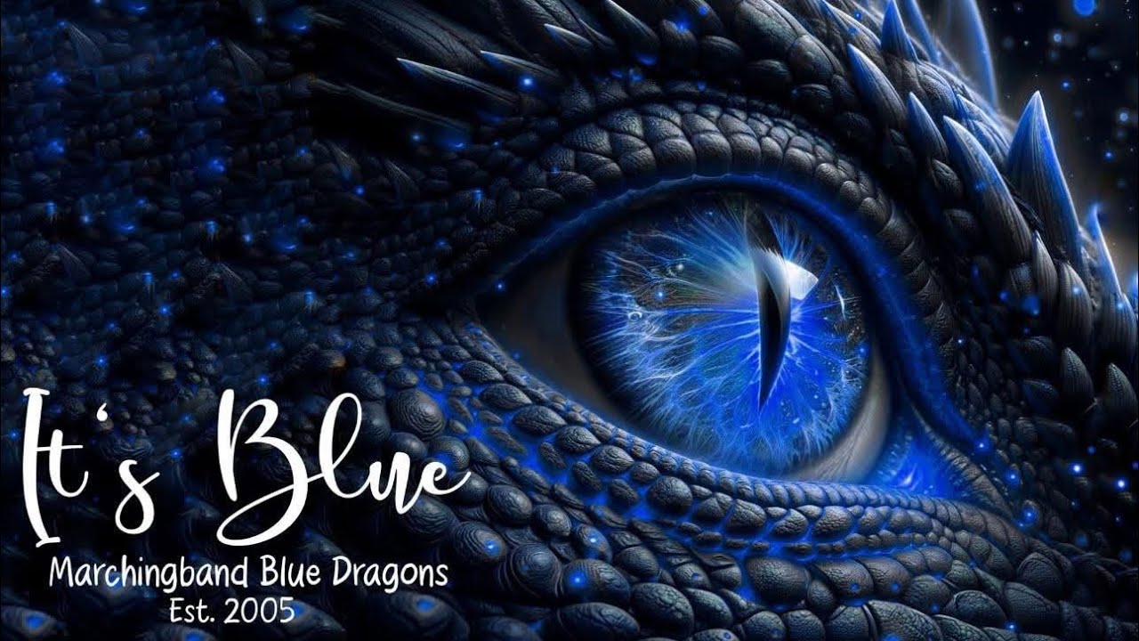 Marchingband Blue Dragons beim Sch&uuml;tzenfest in Munster 2025