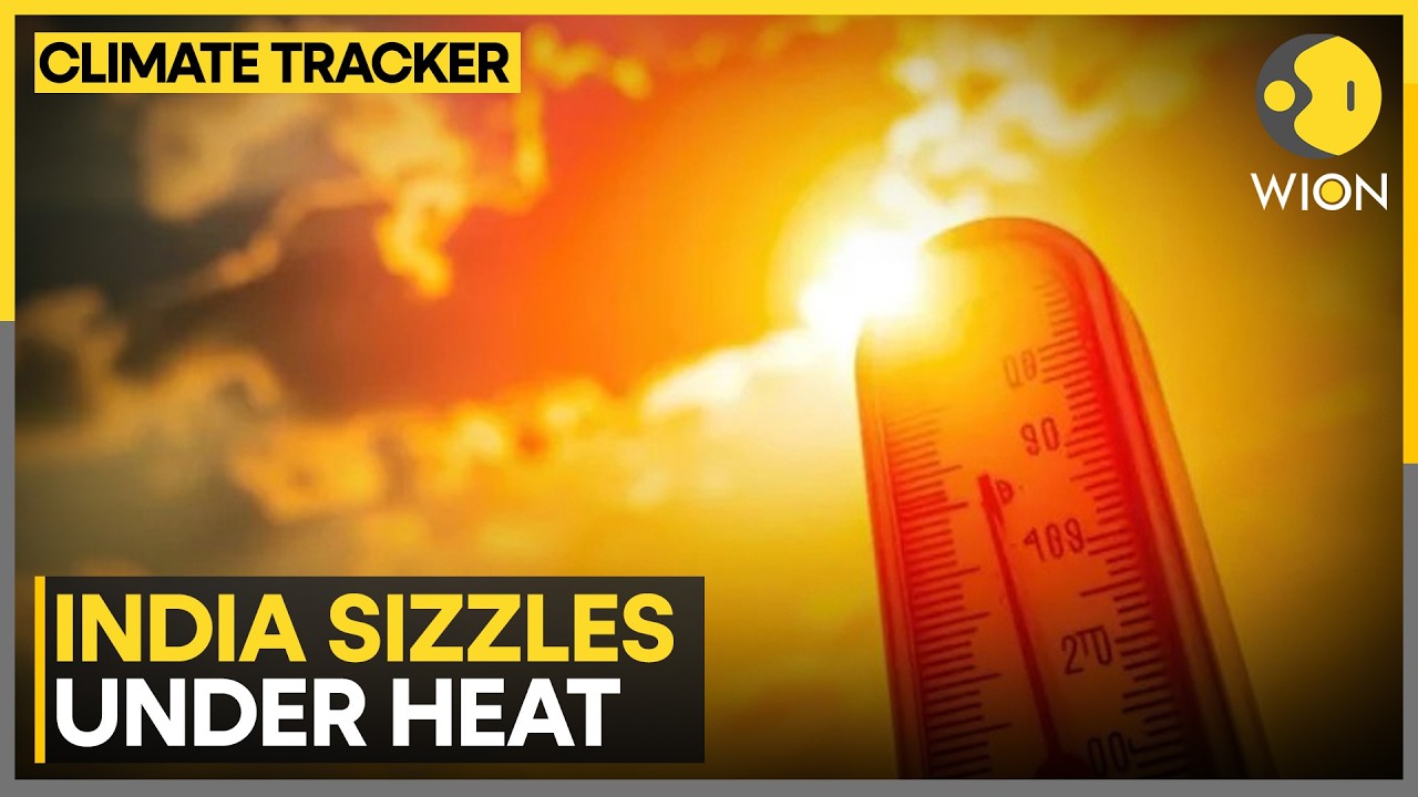 India Heatwave: India Dominates Global Heat Charts | WION Climate Tracker