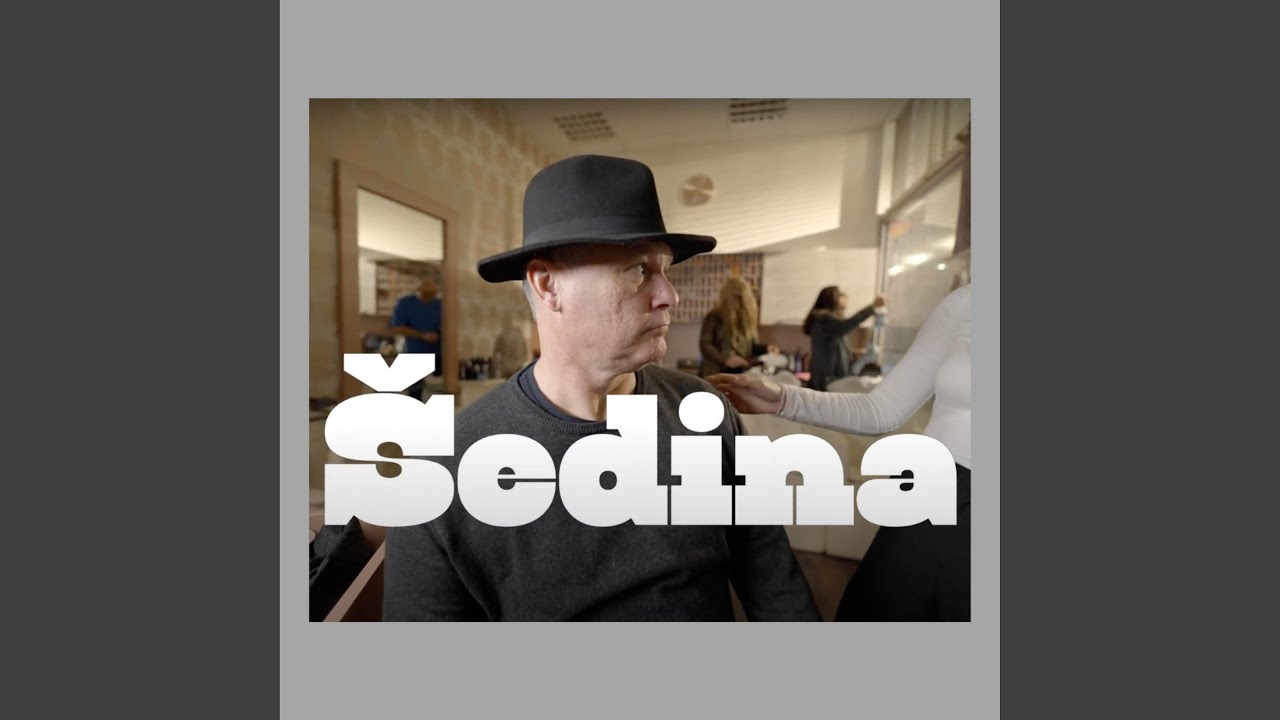 Šedina