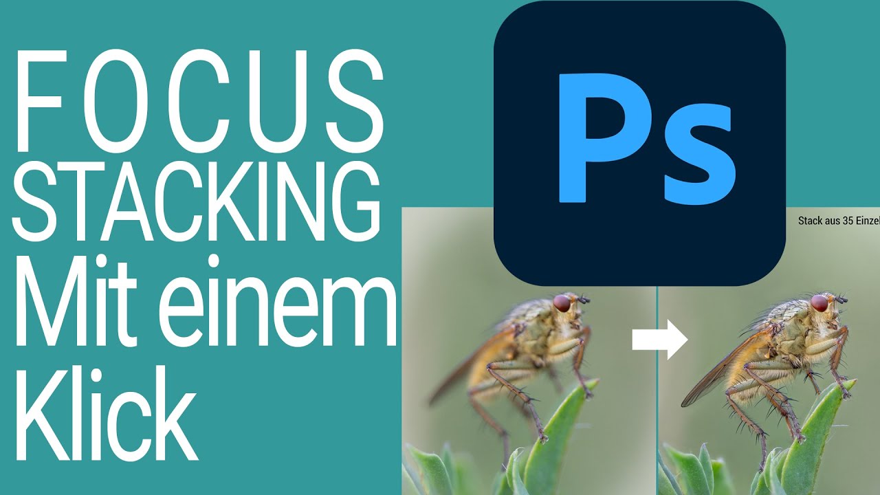 Focus Stacking in Photoshop mit einem Klick