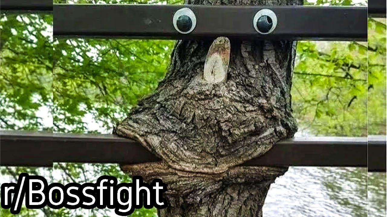 r/Bossfight | Nature consumes all...