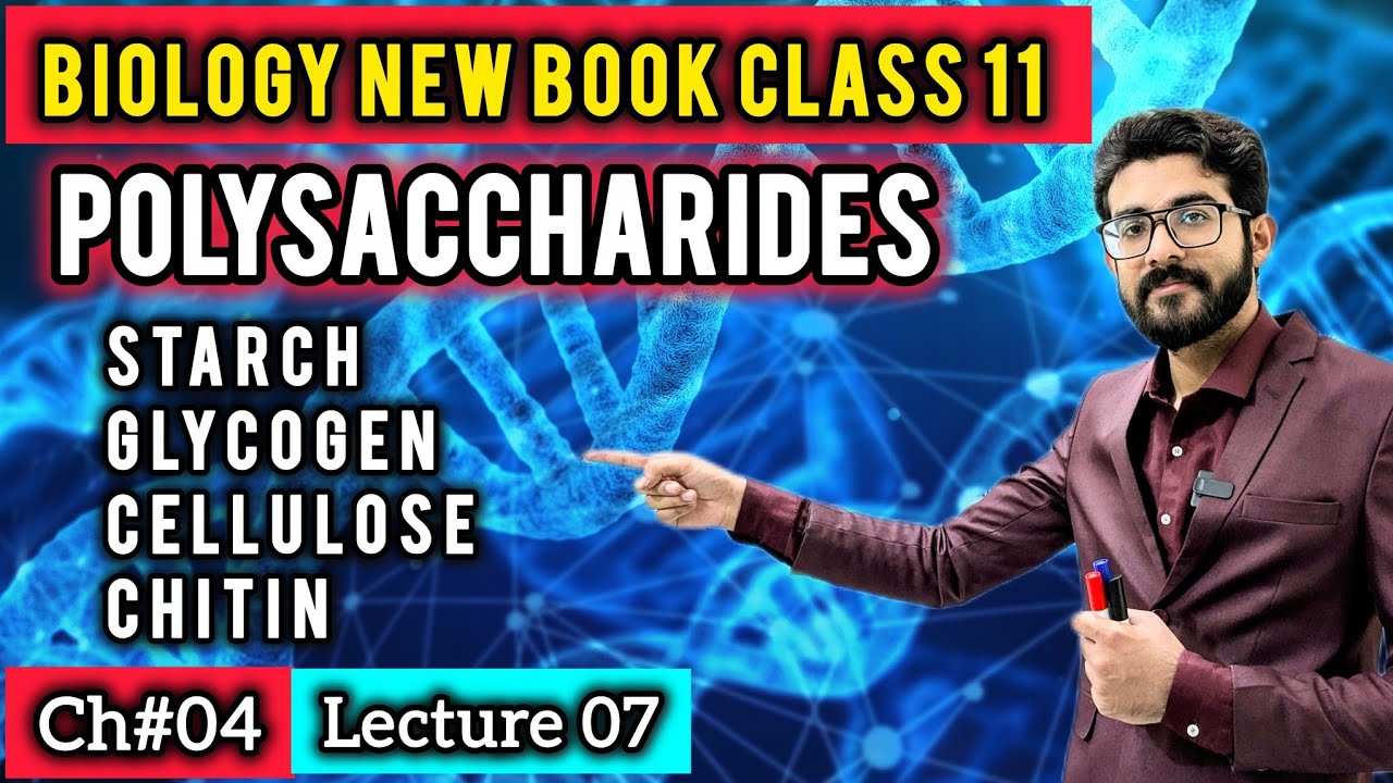 Polysaccharides Made Easy for Class 11 | Starch, Glycogen, Cellulose & Chitin | Biology New Book