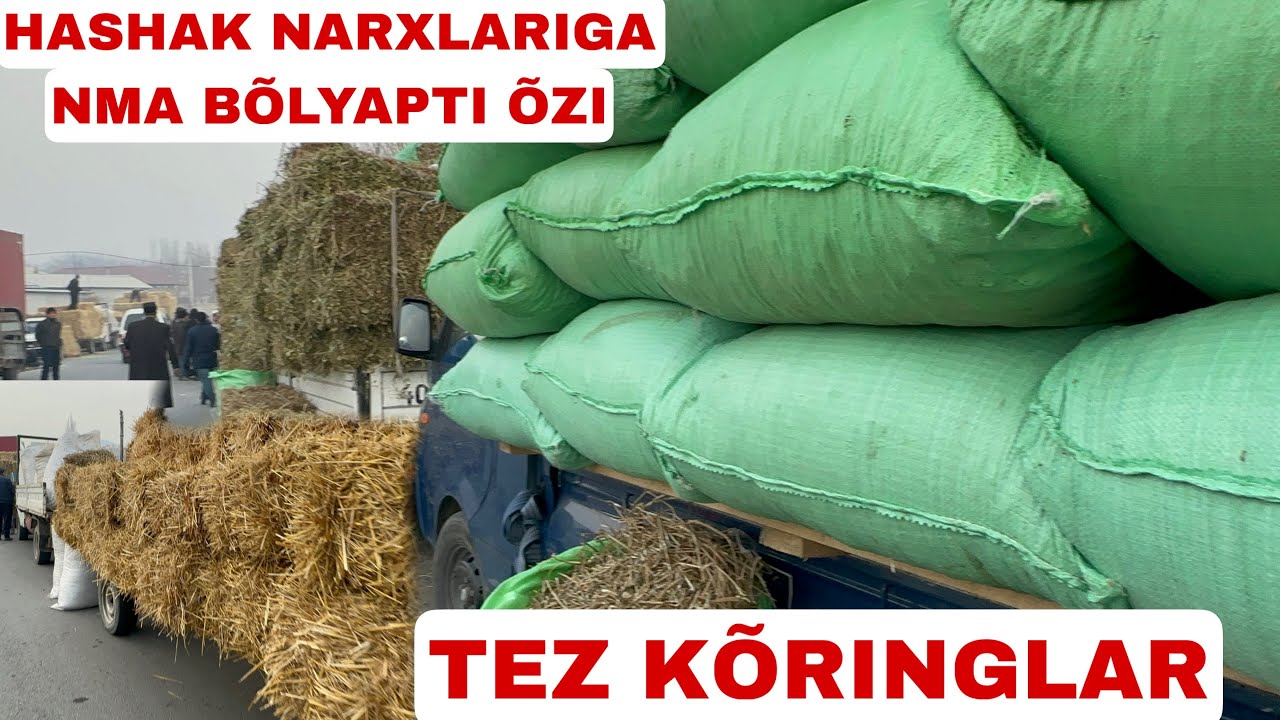 QÕQON HASHAK BOZORI HASHAK NARXLARIGA NMA BÕLYAPTI NARXLAR OSHDIMI TUSHDIMI