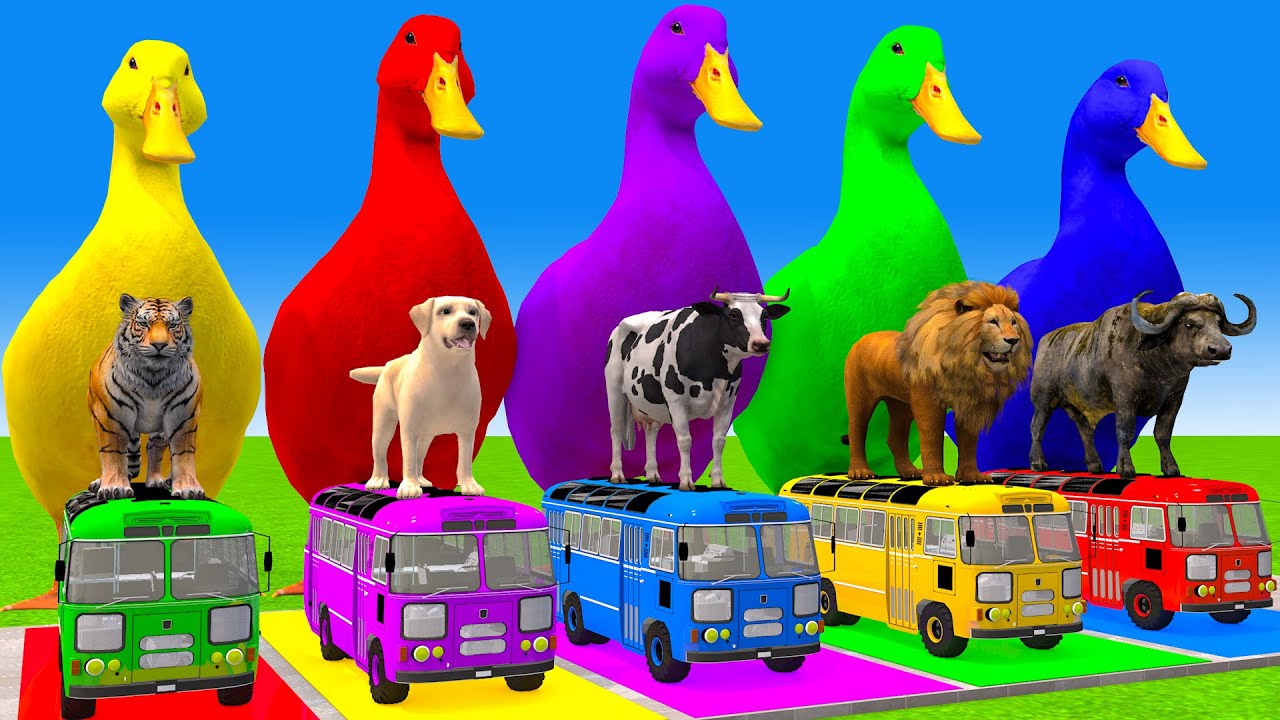 5 Giant Duck Cartoon,Cow,Elephant,T-Rex,Tiger,Lion, Paint Wild Animals Crossing Fountain Animation