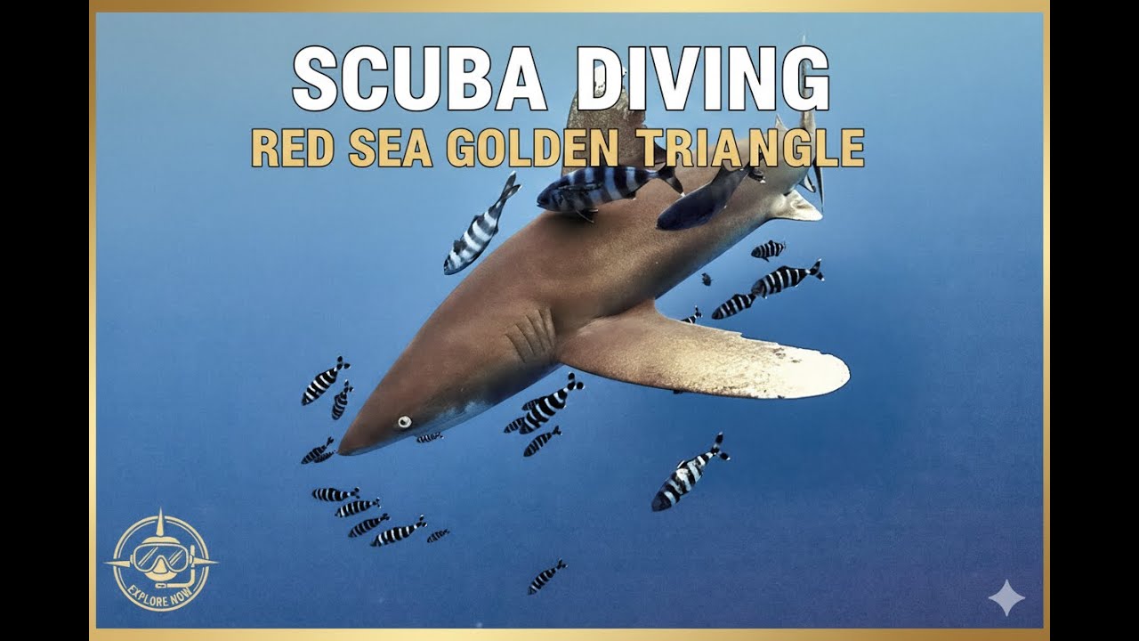Dune Silky Golden Triangle Highlights