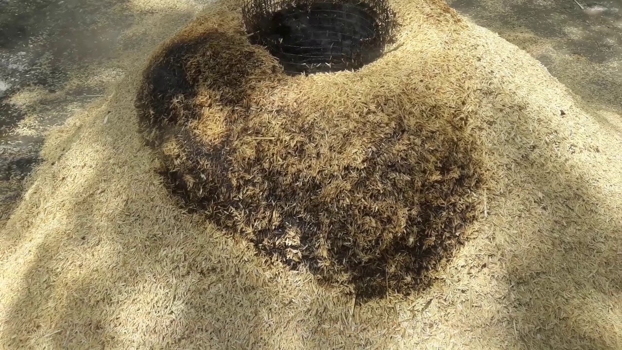 HOW TO MAKE A CARBONIZED RICE HULL/ THE EASY WAY