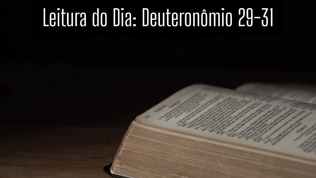 LEITURA ANUAL DA BIBLIA - DIA 64 - DEUTERONÔMIO 29-31 - PENDÃO REAL