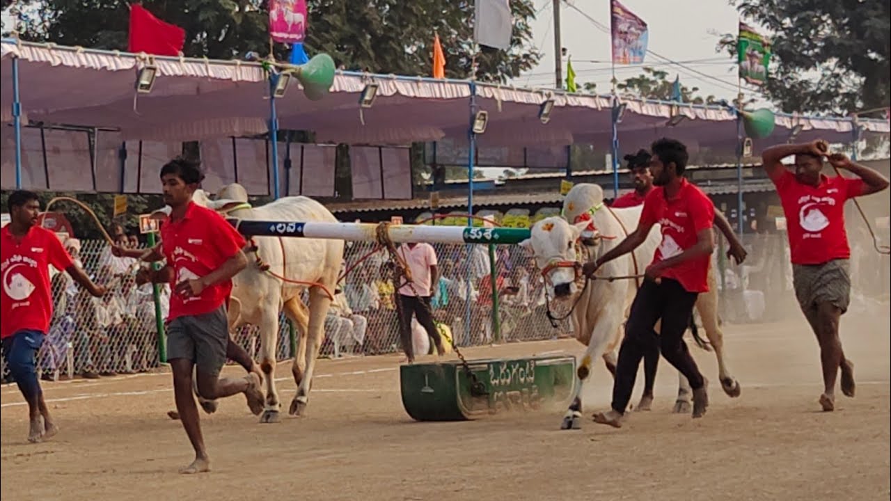 రెంటచింతల 2 పళ్ళు 12వ