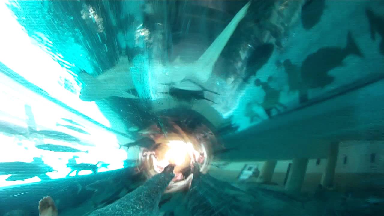7/17/2014: Golden Nugget LasVegas - SharkTank Waterslide - GoPro