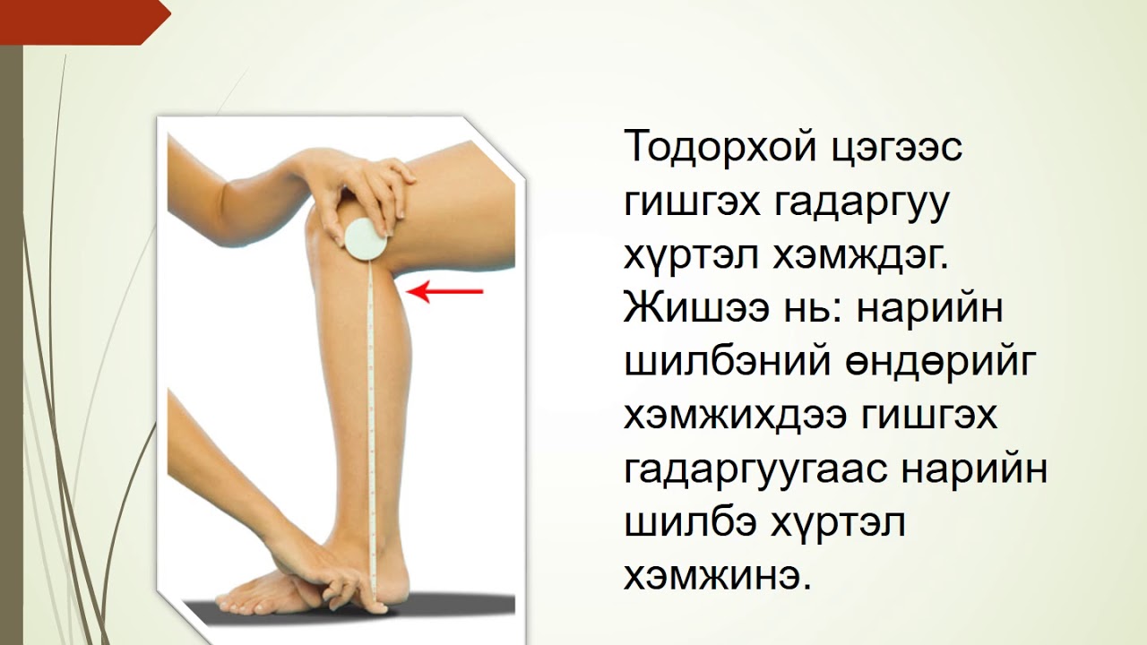 ЧН: Гутлын загвар, үлгэр гаргах, ЧЭ: Тавхайн бүтцийг судлах /Багш Д.Дэлгэр/