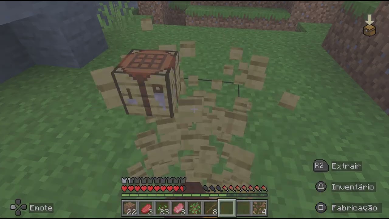 Minecraft_20260205090632