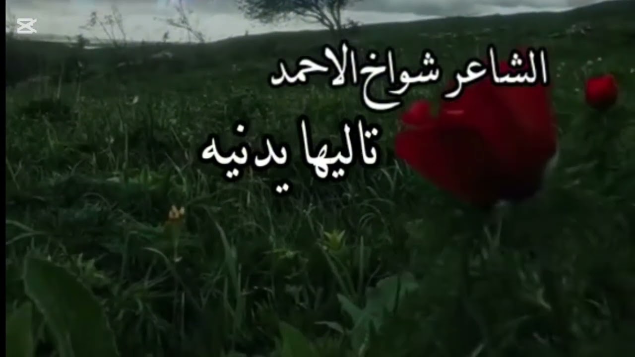 وتاليها يادنيا لوين ماشين الشاعر الراحل شواخ الاحمد #الشاعر_شواخ_الأحمد 