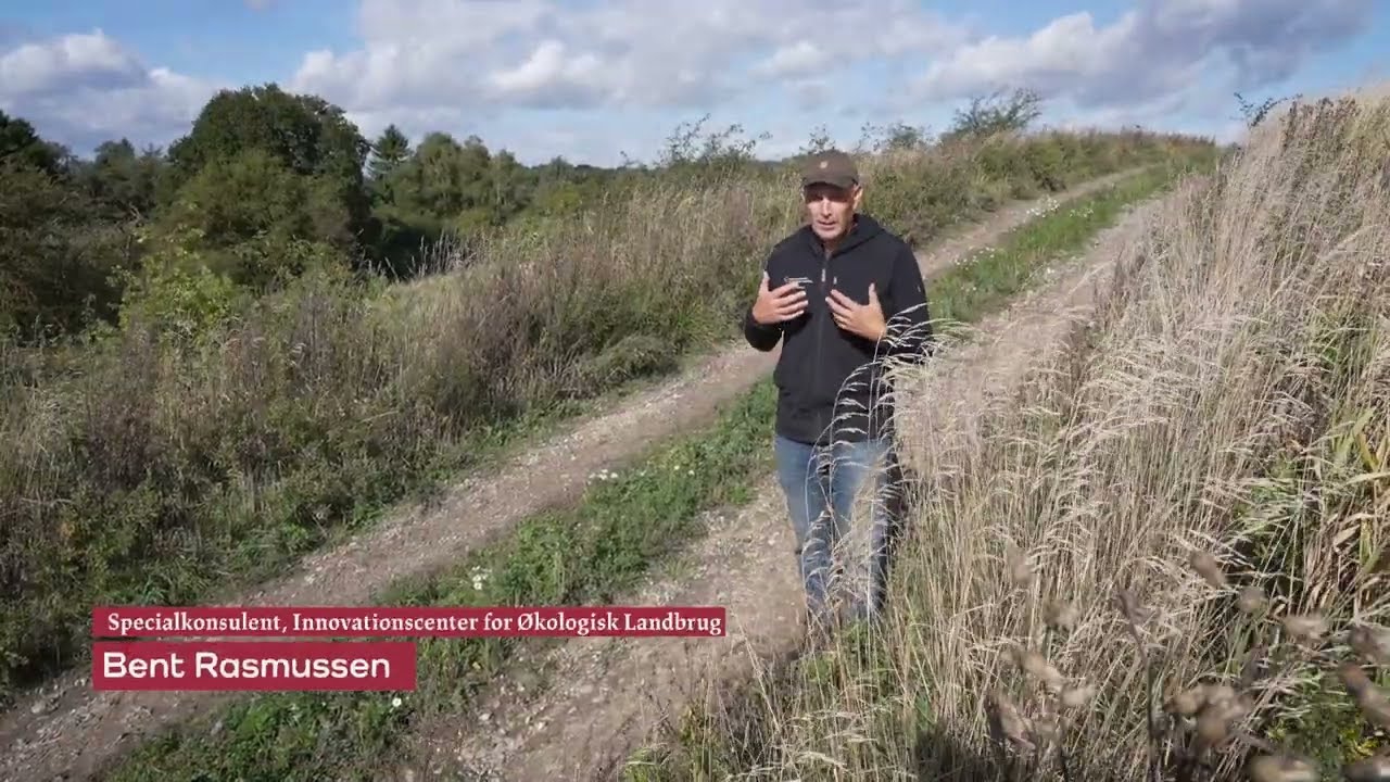 Forbedring af biodiversitet i faste landskabselementer