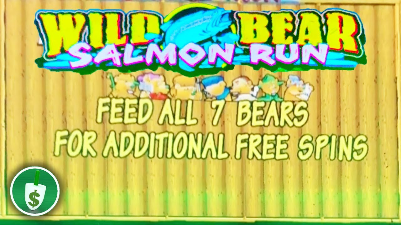 Wild Bear Salmon Run slot machine, bonus