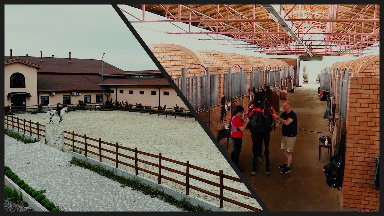 Красота и грация лошадей в конно-спортивном клубе  Equi Life