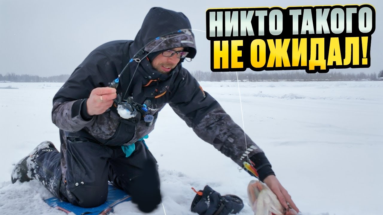 В ЯМЕ под БРОВКОЙ живут ОГРОМНЫЕ судаки и ЩУКИ!
