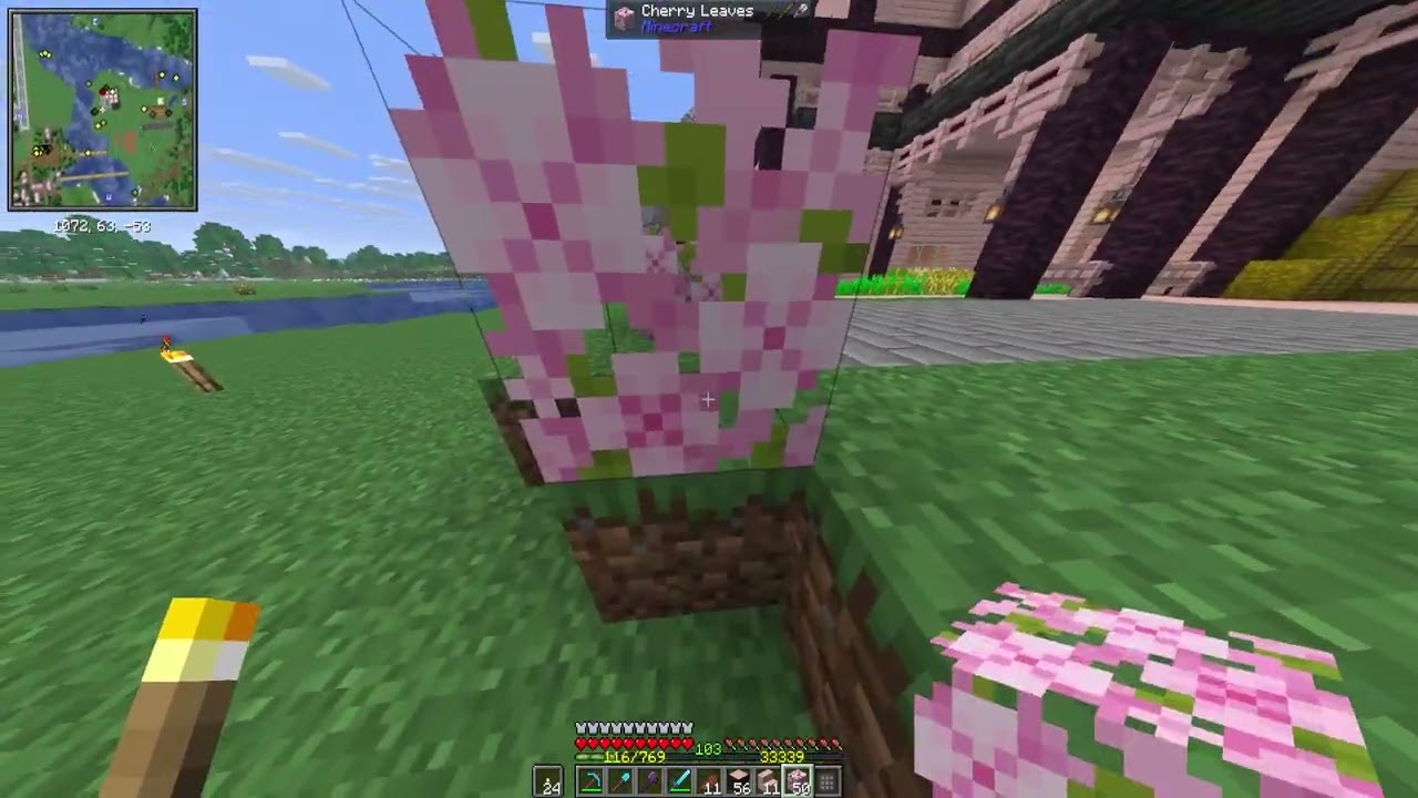 Minecraft Survival+ Ep 49