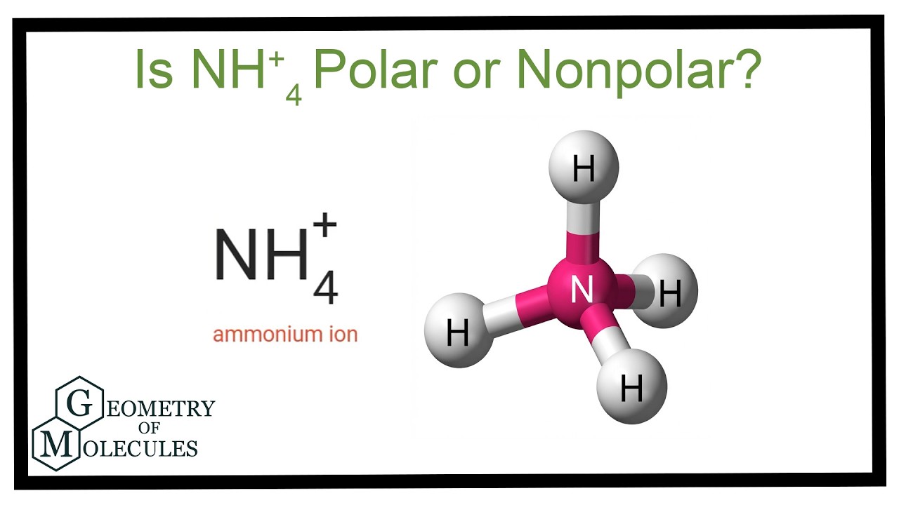 Объяснение молекулярной геометрии и полярности иона NH4+ (форма иона аммония + угол связи).