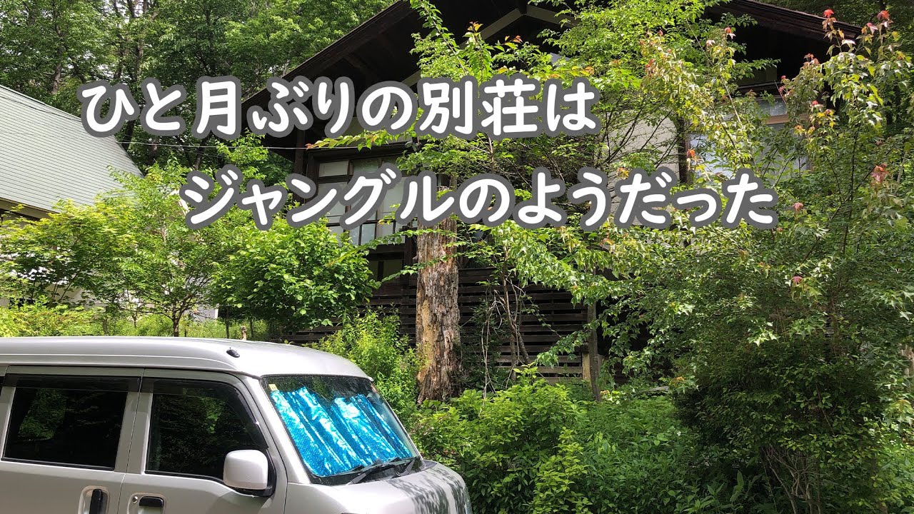 八ヶ岳2拠点生活の日常　ひと月ぶりの別荘はジャングルのようだった【 66歳年金暮らし】