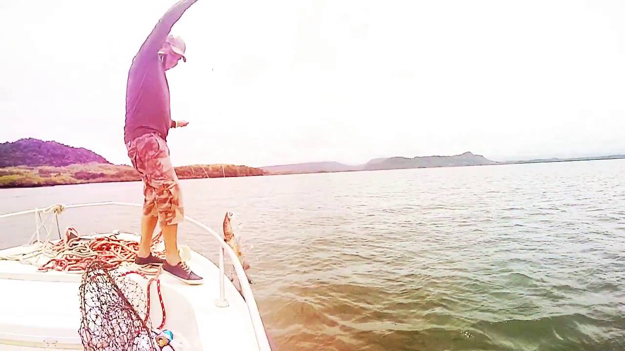 Pesca de estero, con carnada viva