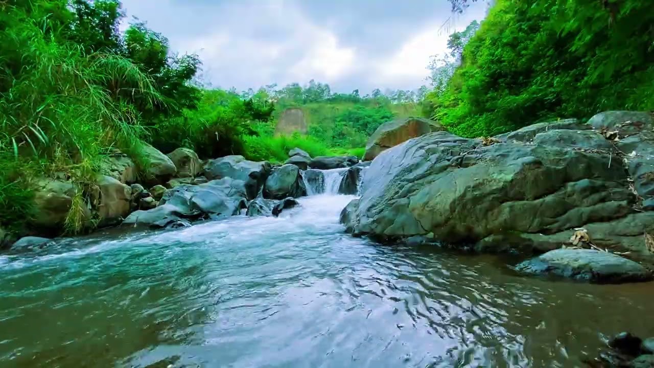 Calming River Sounds with Natural Scenery | Deep Relaxation