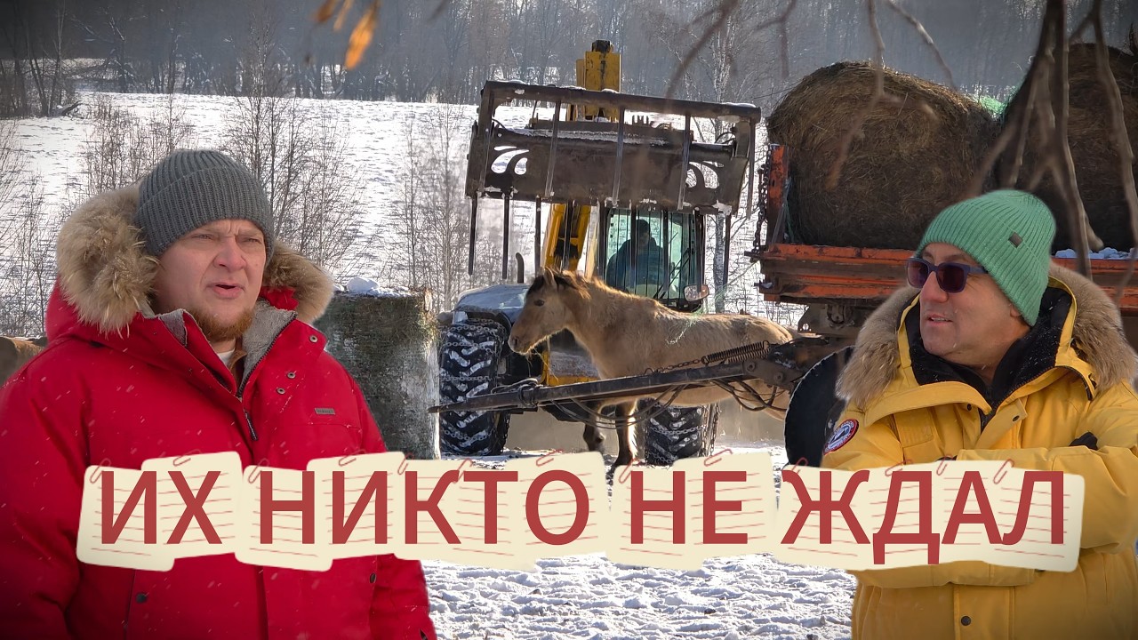 ПРИКЛЮЧЕНИЯ ИТАЛЬЯНЦА НА РАНЧО | НАКОРМИЛИ ЛОШАДЕЙ | JCB ПРОШЕЛ ТО