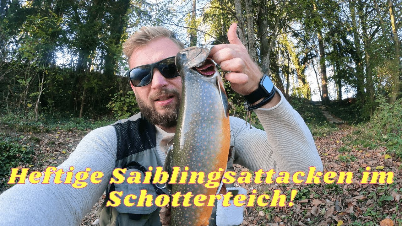 Dicke Saiblinge BEISSEN wie verrückt!