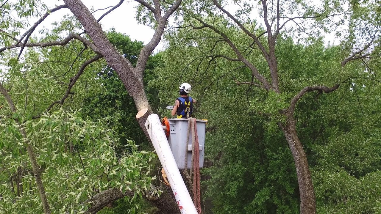 J.M Tree Service Equipment in General