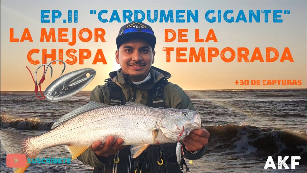 Cardumen Gigante ! | Ep.2  