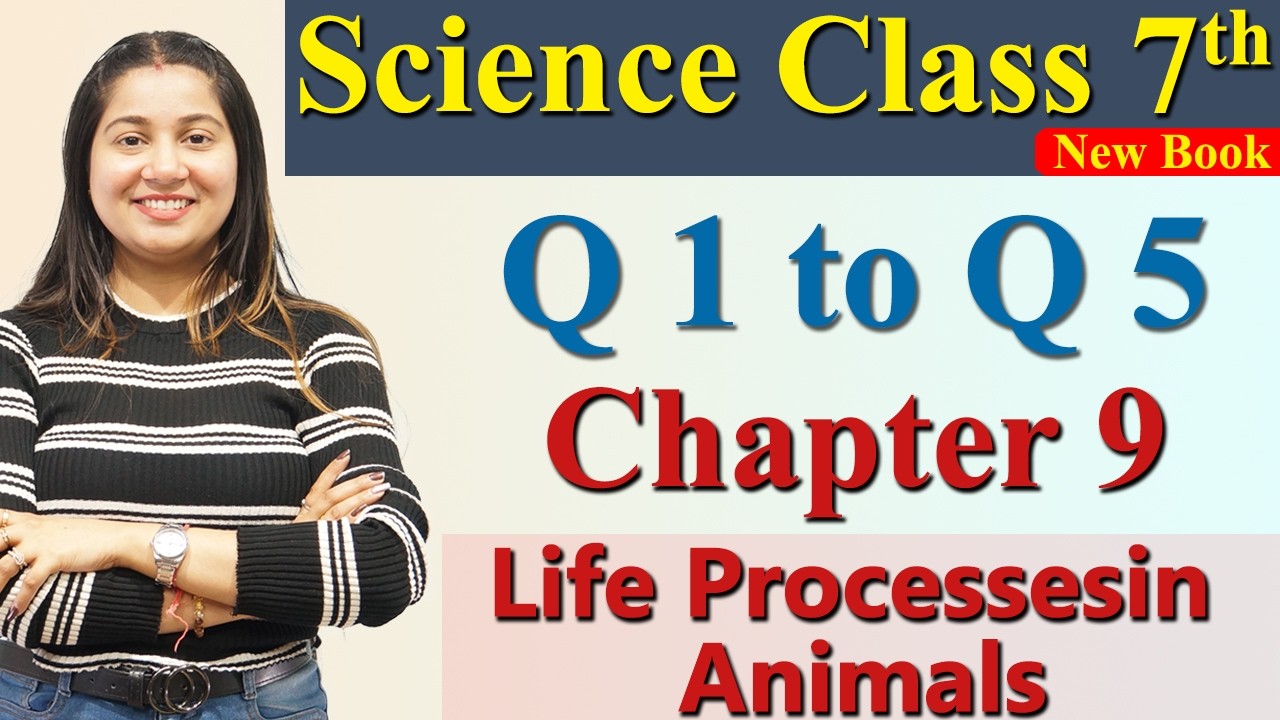 Q 1 to Q 5 - Chapter 9 Part 5 - Life Processesin Animals - Science Curiosity Class 7th NCERT CBSE