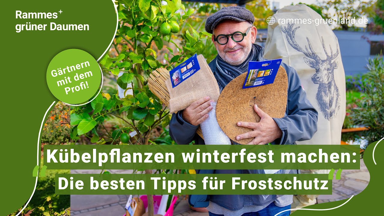K&uuml;belpflanzen winterfest machen:  Die besten Tipps f&uuml;r Frostschutz