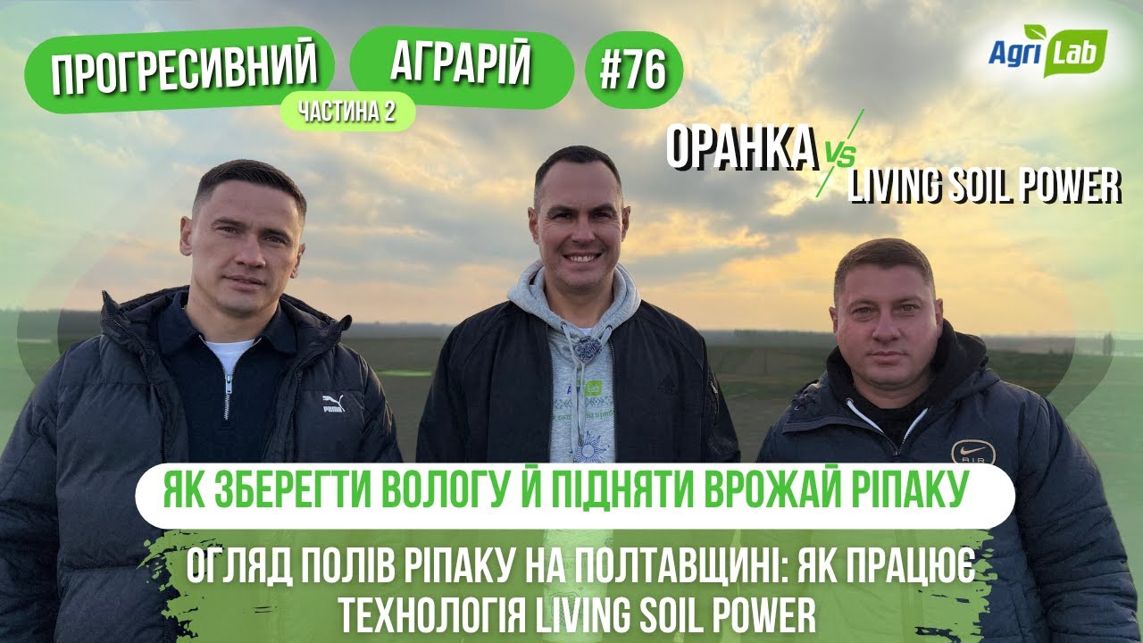 Живий ґрунт перемагає плуг: ріпак на Полтавщині та нова філософія обробітку 🌱
