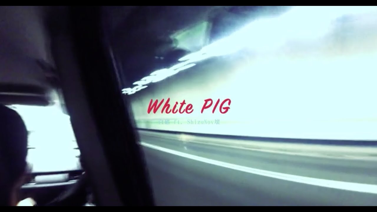 White PIG 白豬 feat ShizuNov壞 - Unfamiliar Friends Party 不熟的朋友派對