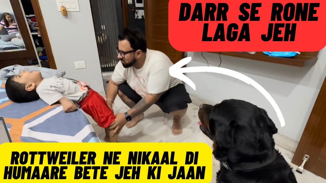 Rottweiler Ne Nikaal Di Humaare Bête Jeh Ki Jaan: Darr Se Rone Lag Pada Jeh