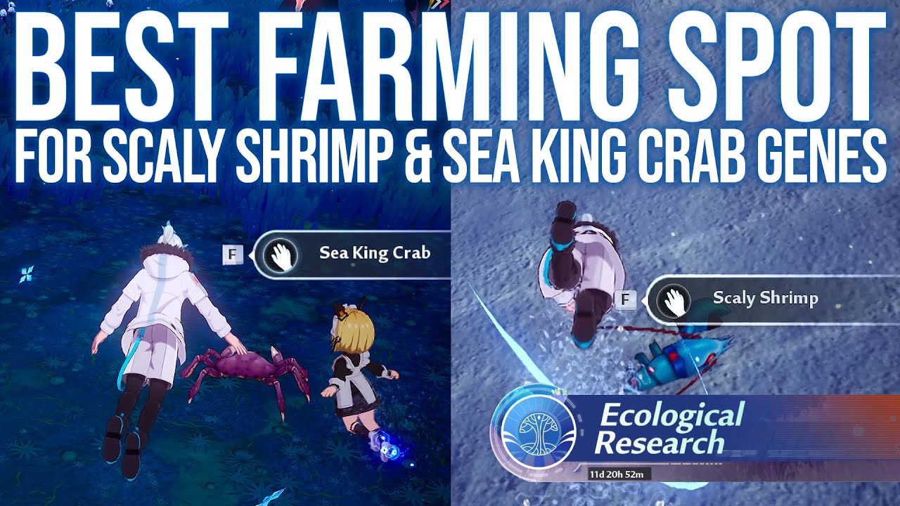 Scaly Shrimp & Sea King Crab Farming Location (Ecological Event) - Tower of Fantasy 2.4