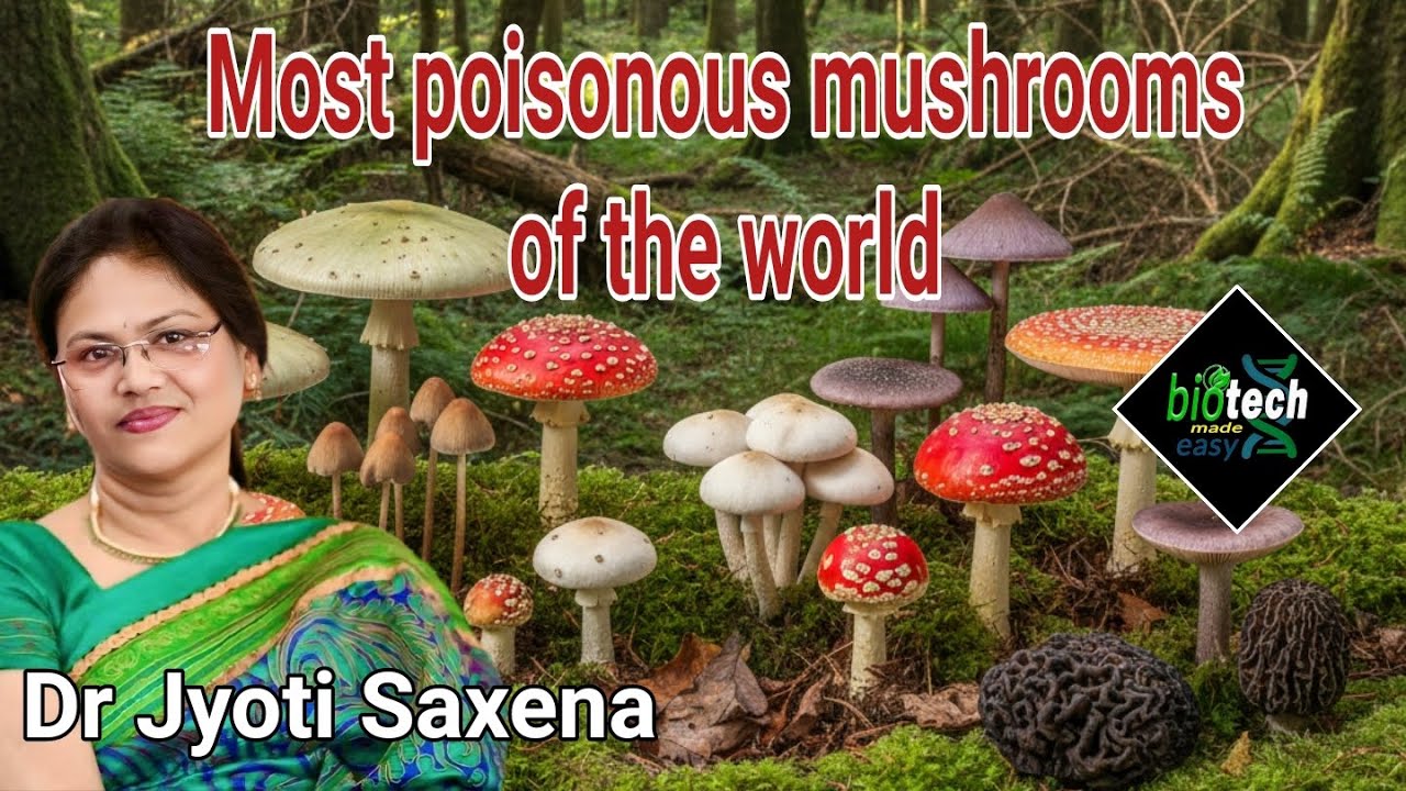 Poisonous Mushrooms of the world#deadly mushrooms#microbiology#ediblefungi#biotechmadeeasy