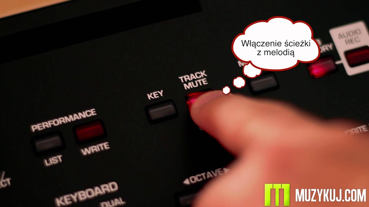 Roland BK3 Text