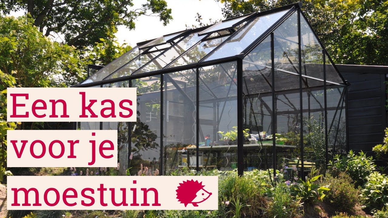 Moestuin kas