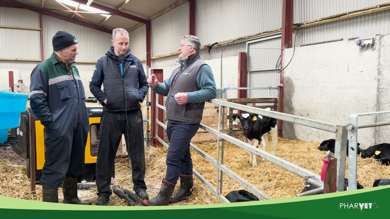 Calf Rearing 2024 - Setting Up The Feed Curve