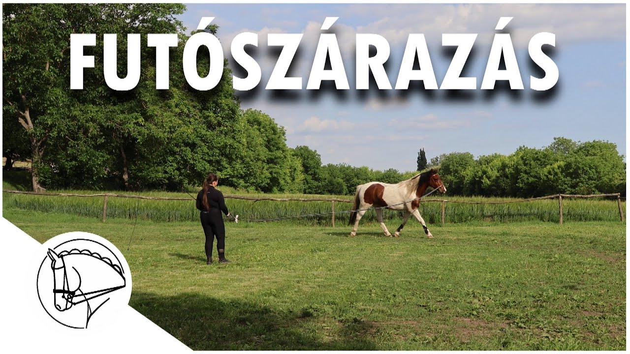 Futószárazás