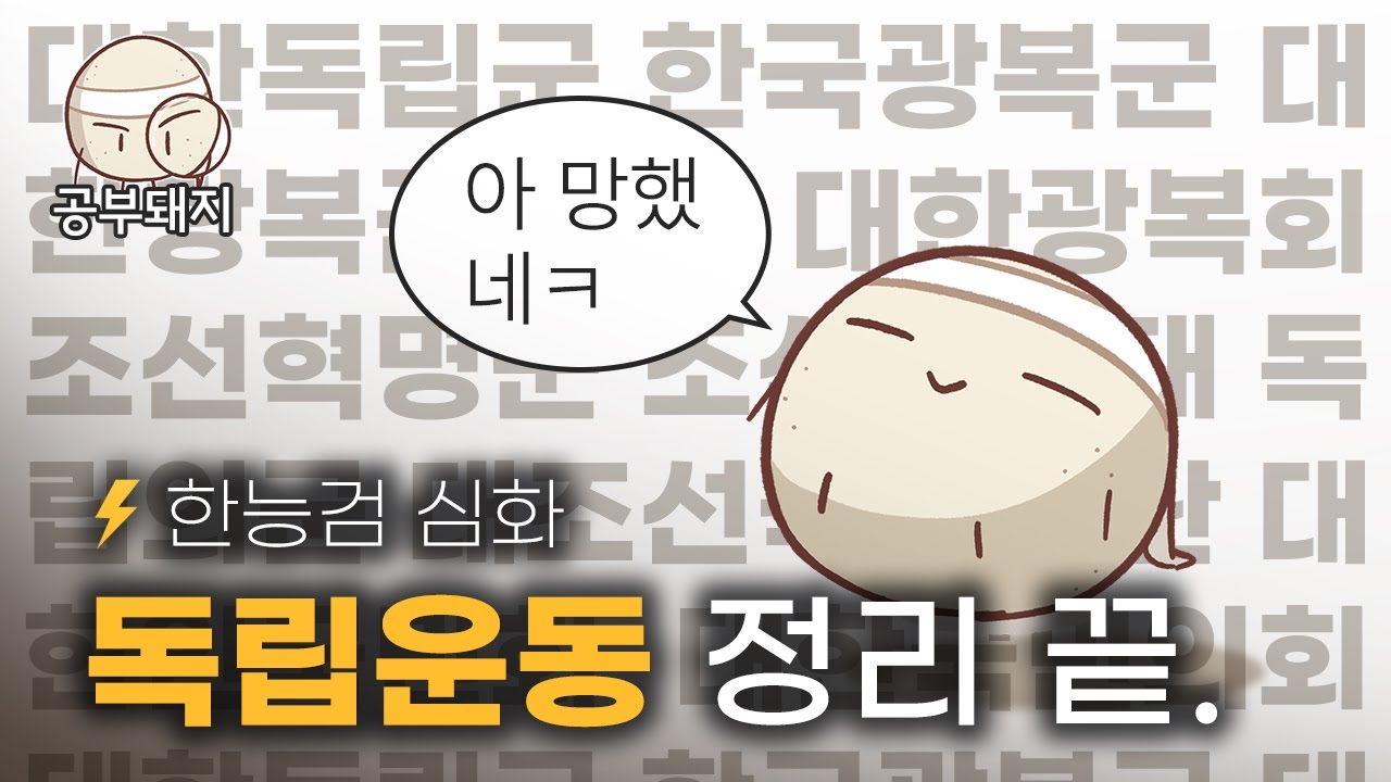 대한 한국 조선 독립 광복 혁명 군 어우 세상에 | 독립운동 총정리 벼락치기 한능검
