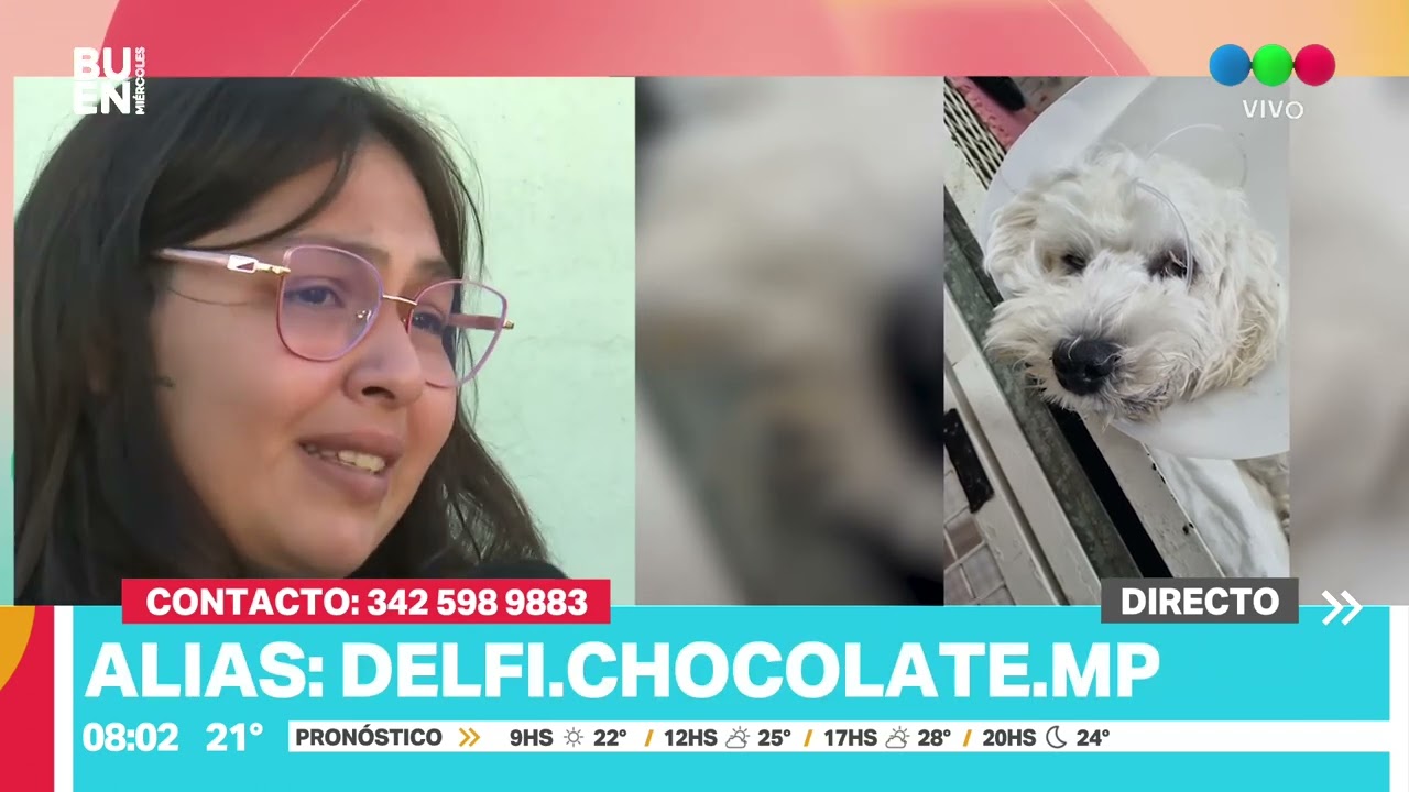 Son rescatistas, su perro se contagió de parvo y piden ayuda para los gastos veterinarios