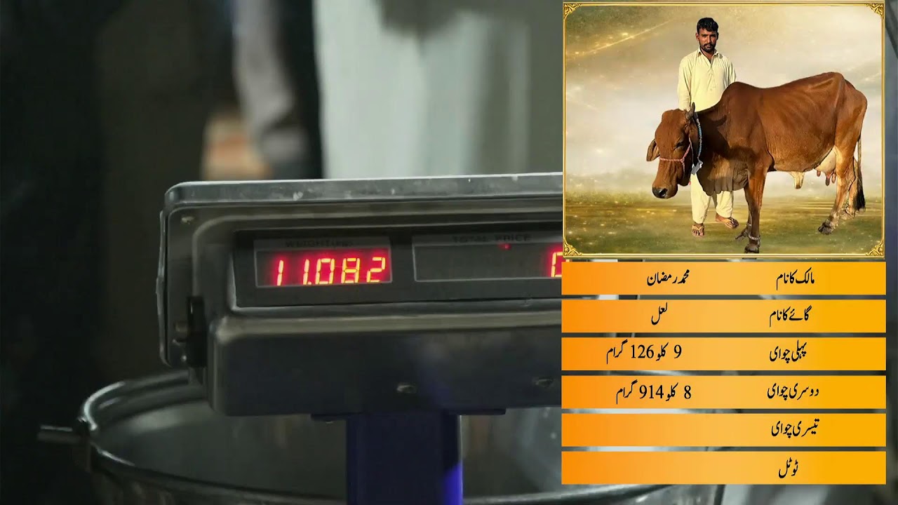 00